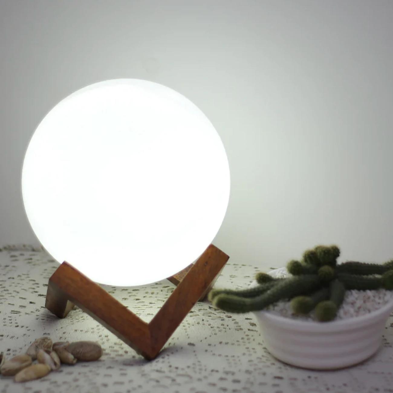 GLOBE WHIRE (FRAME BASE)