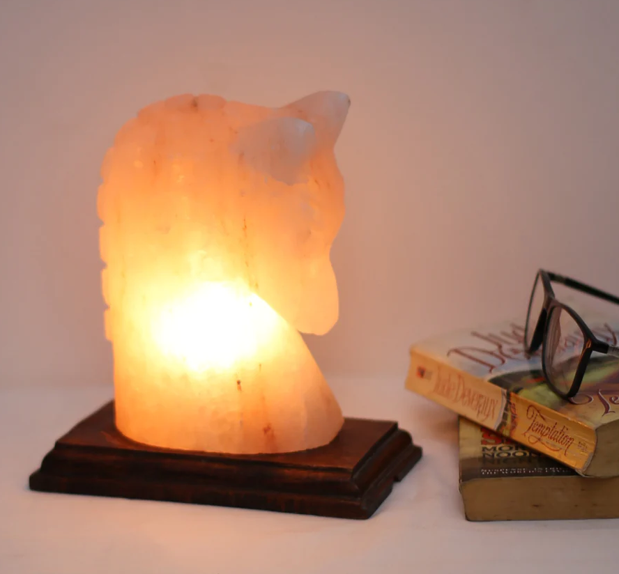 HORSE CRAFT SALT LAMP