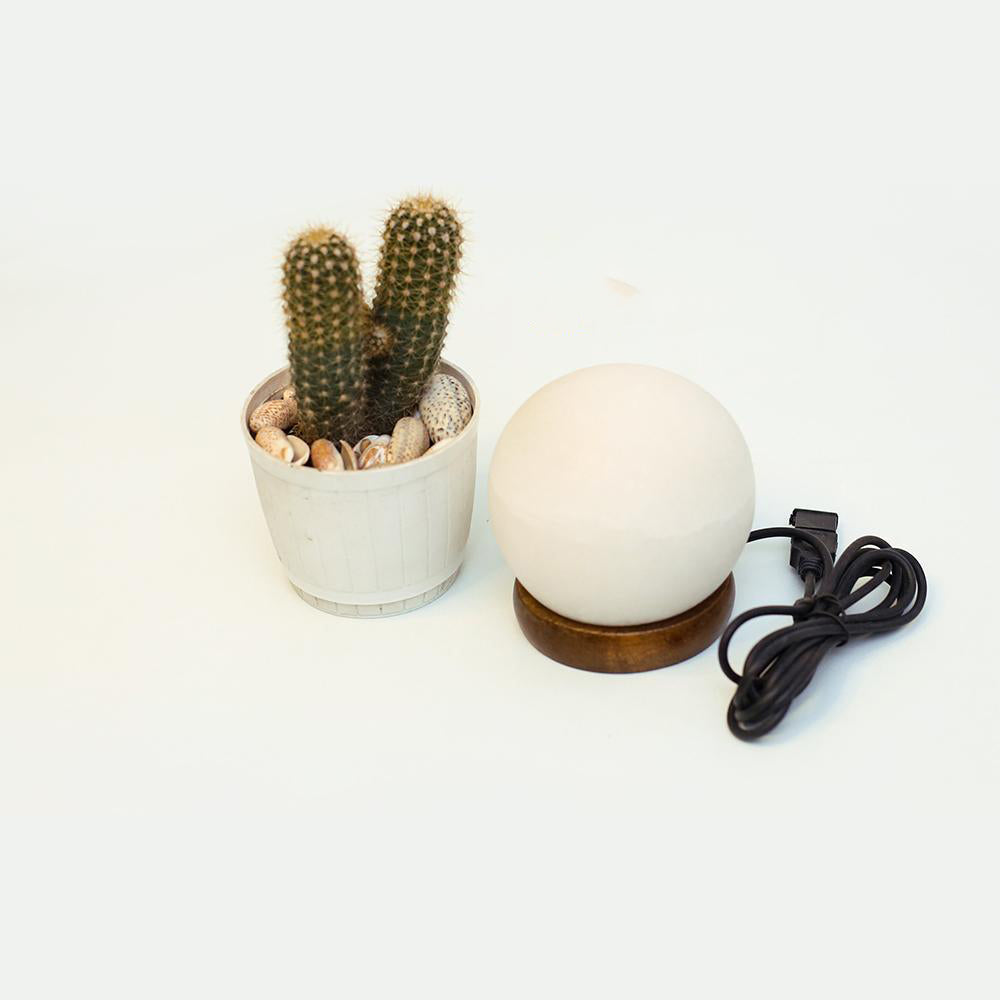 USB WHITE GLOB